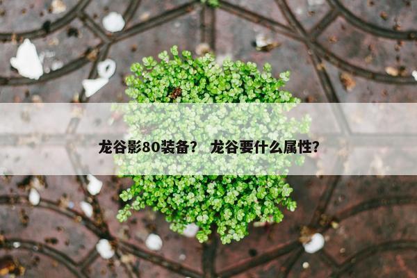 龙谷影80装备？ 龙谷要什么属性？