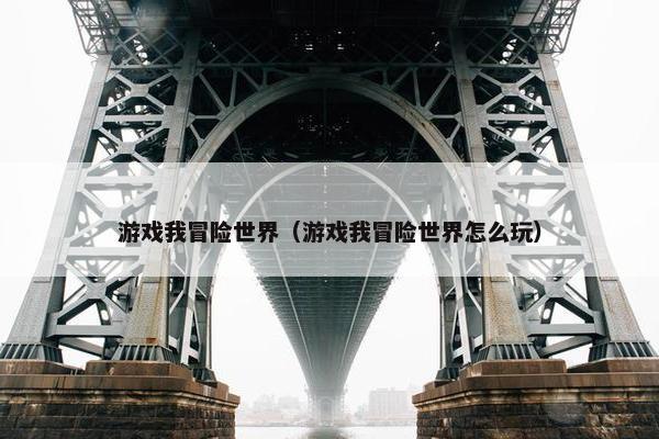 游戏我冒险世界（游戏我冒险世界怎么玩）