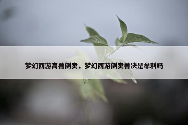 梦幻西游高兽倒卖，梦幻西游倒卖兽决是牟利吗
