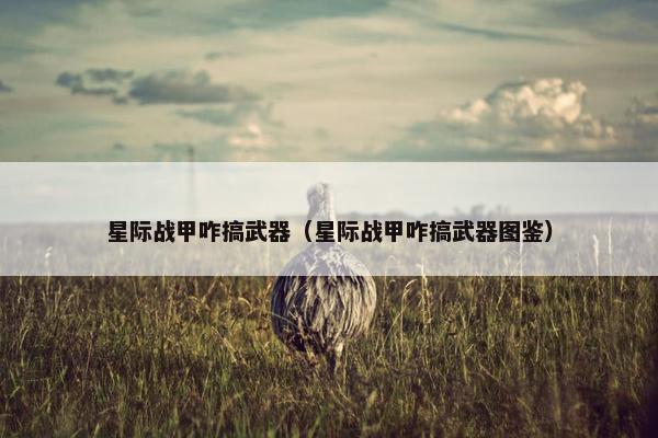 星际战甲咋搞武器（星际战甲咋搞武器图鉴）