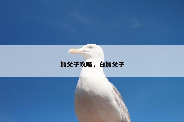 熊父子攻略，白熊父子