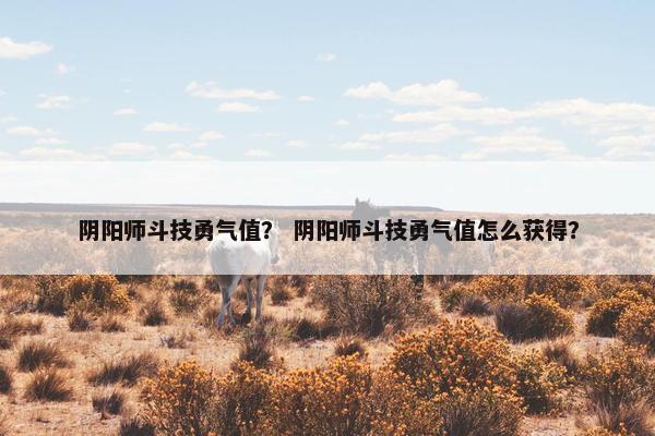 阴阳师斗技勇气值？ 阴阳师斗技勇气值怎么获得？
