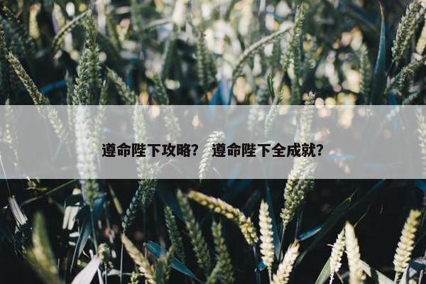 遵命陛下攻略？ 遵命陛下全成就？