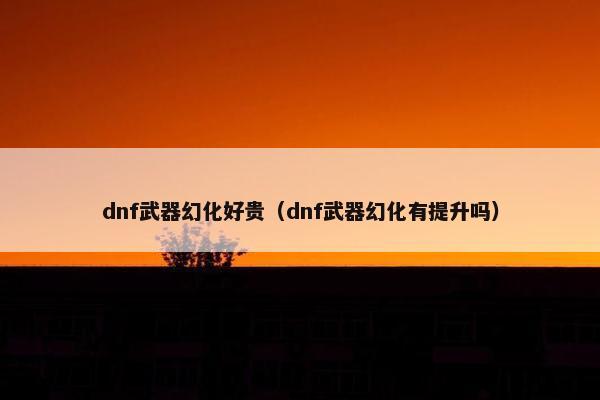 dnf武器幻化好贵（dnf武器幻化有提升吗）