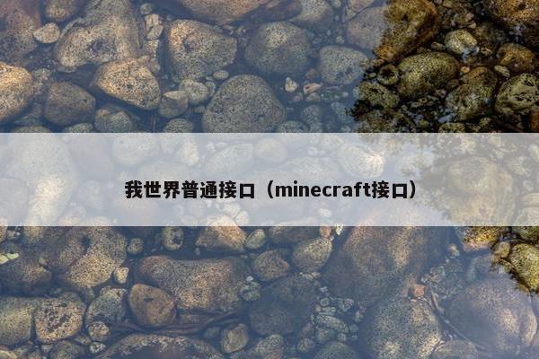 我世界普通接口（minecraft接口）