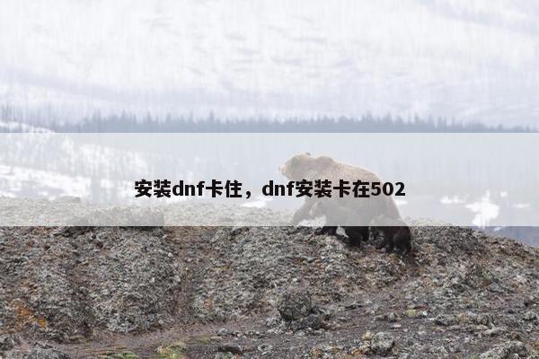 安装dnf卡住，dnf安装卡在502