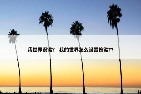 我世界设键？ 我的世界怎么设置按键?？