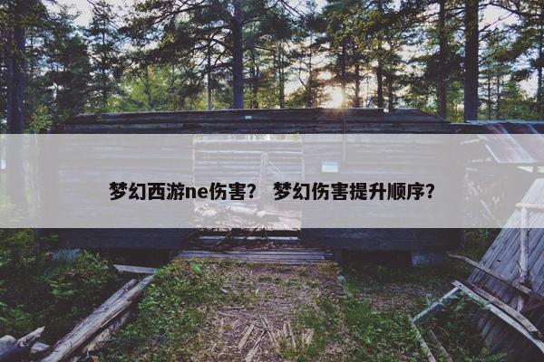梦幻西游ne伤害？ 梦幻伤害提升顺序？