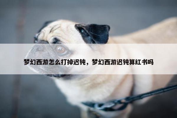 梦幻西游怎么打掉迟钝，梦幻西游迟钝算红书吗