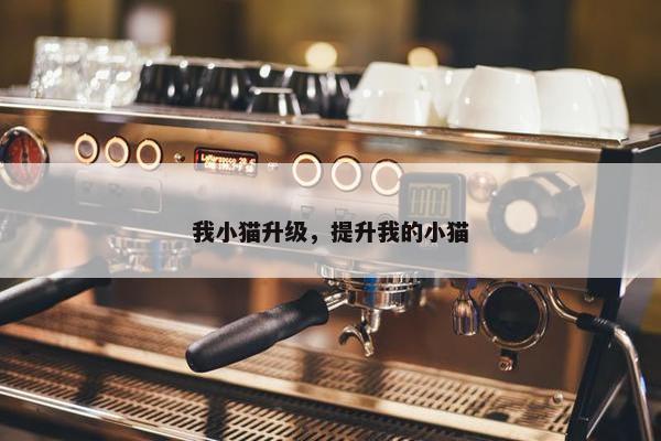 我小猫升级，提升我的小猫