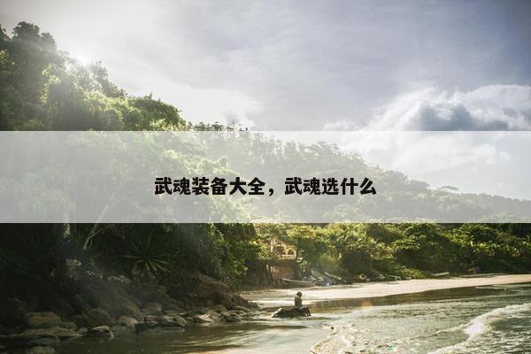 武魂装备大全，武魂选什么