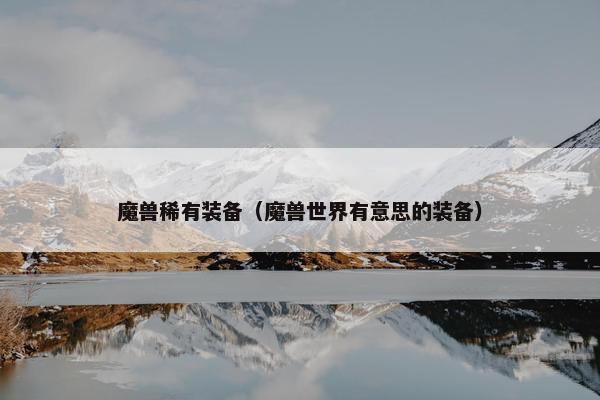 魔兽稀有装备（魔兽世界有意思的装备）