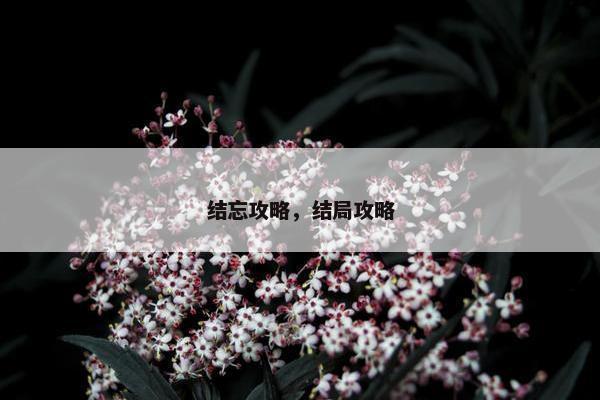 结忘攻略，结局攻略