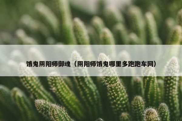 饿鬼阴阳师御魂（阴阳师饿鬼哪里多跑跑车网）