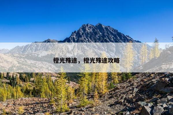 橙光殊途，橙光殊途攻略