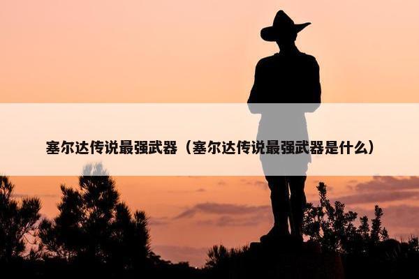 塞尔达传说最强武器（塞尔达传说最强武器是什么）