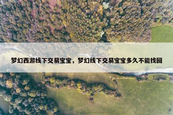 梦幻西游线下交易宝宝，梦幻线下交易宝宝多久不能找回