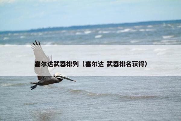 塞尔达武器排列（塞尔达 武器排名获得）