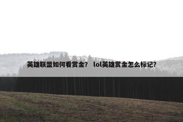 英雄联盟如何看赏金？ lol英雄赏金怎么标记？