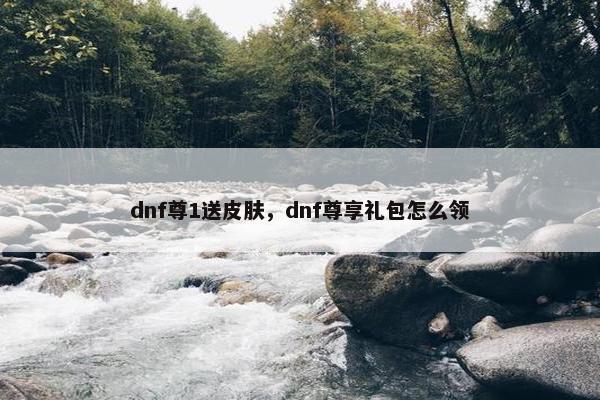 dnf尊1送皮肤，dnf尊享礼包怎么领