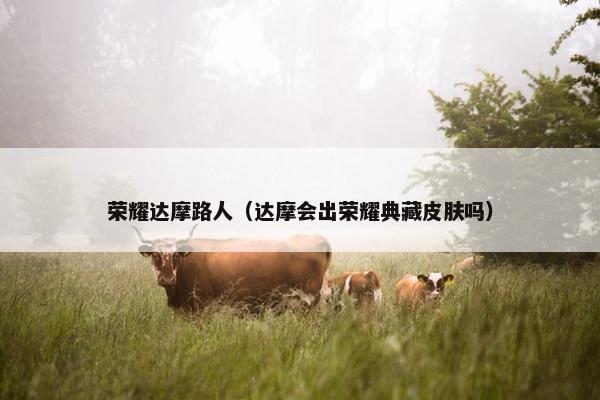 荣耀达摩路人（达摩会出荣耀典藏皮肤吗）