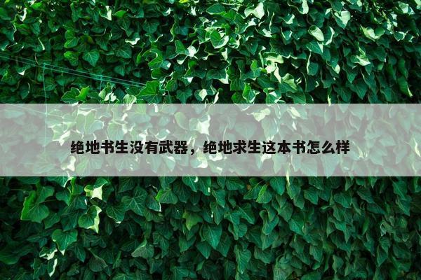 绝地书生没有武器，绝地求生这本书怎么样