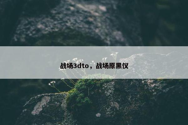 战场3dto，战场原黑仪