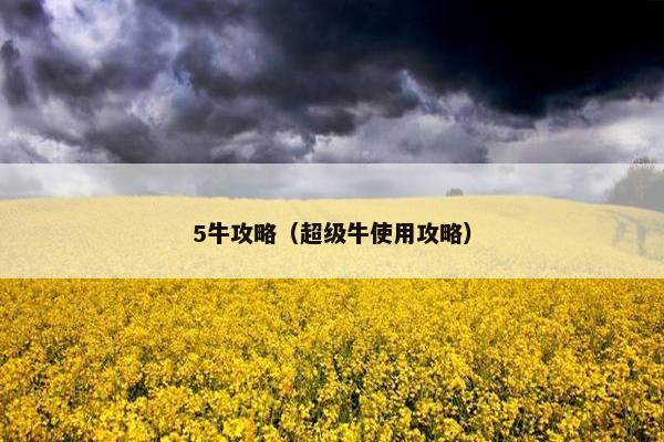 5牛攻略（超级牛使用攻略）