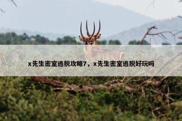 x先生密室逃脱攻略7，x先生密室逃脱好玩吗