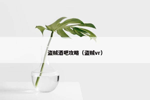 盗贼酒吧攻略（盗贼vr）