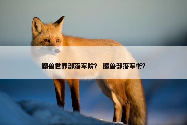 魔兽世界部落军阶？ 魔兽部落军衔？