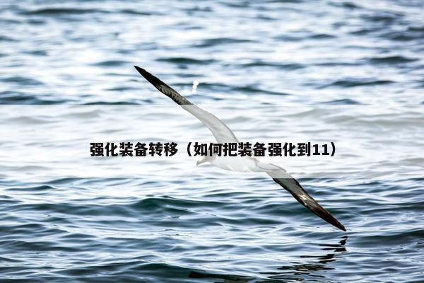 强化装备转移（如何把装备强化到11）