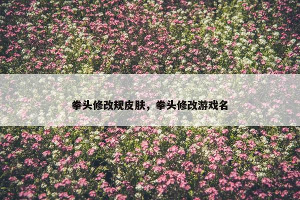拳头修改规皮肤，拳头修改游戏名