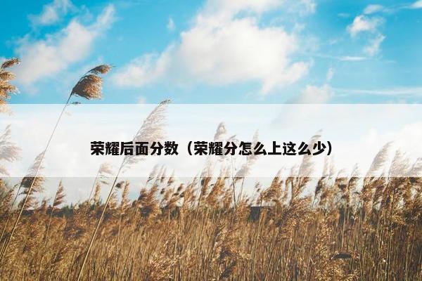荣耀后面分数（荣耀分怎么上这么少）