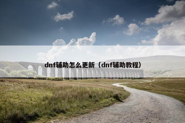 dnf辅助怎么更新（dnf辅助教程）