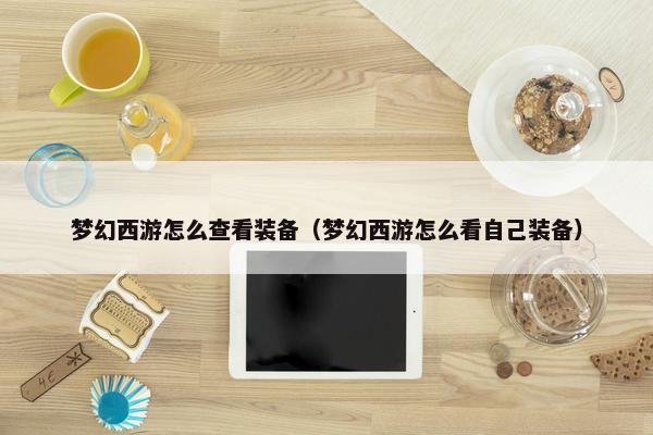 梦幻西游怎么查看装备（梦幻西游怎么看自己装备）