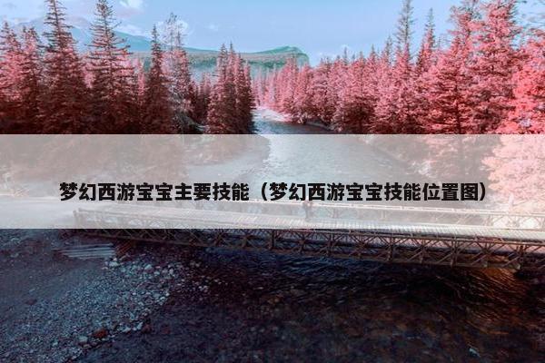 梦幻西游宝宝主要技能（梦幻西游宝宝技能位置图）