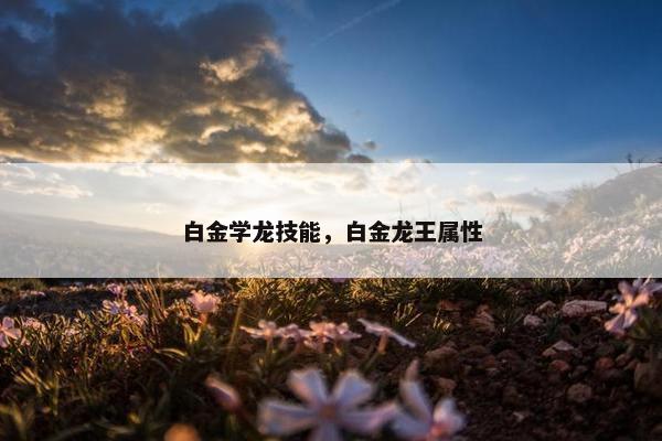 白金学龙技能，白金龙王属性