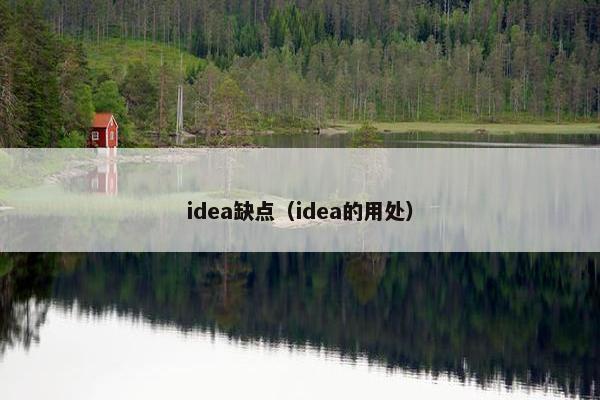 idea缺点（idea的用处）