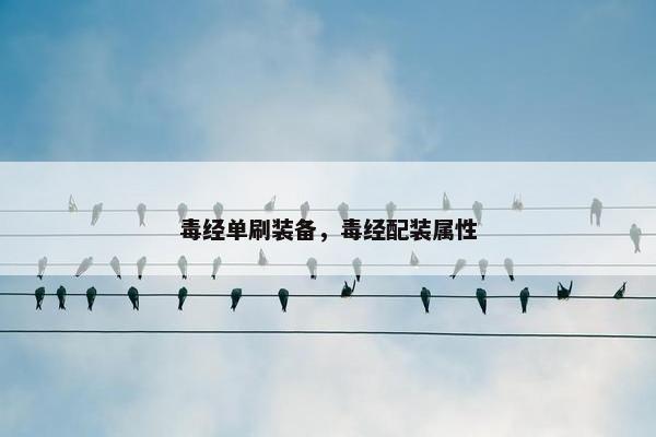 毒经单刷装备，毒经配装属性