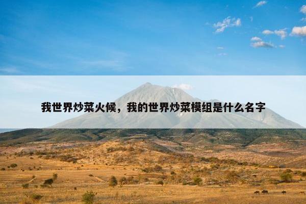 我世界炒菜火候，我的世界炒菜模组是什么名字
