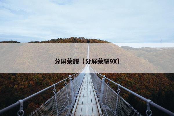 分屏荣耀（分屏荣耀9X）
