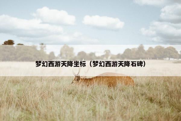 梦幻西游天降坐标（梦幻西游天降石碑）