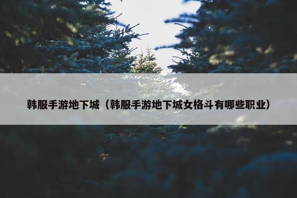 韩服手游地下城（韩服手游地下城女格斗有哪些职业）