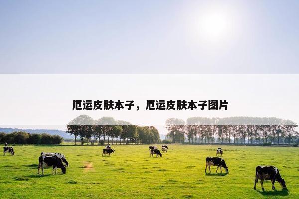 厄运皮肤本子，厄运皮肤本子图片