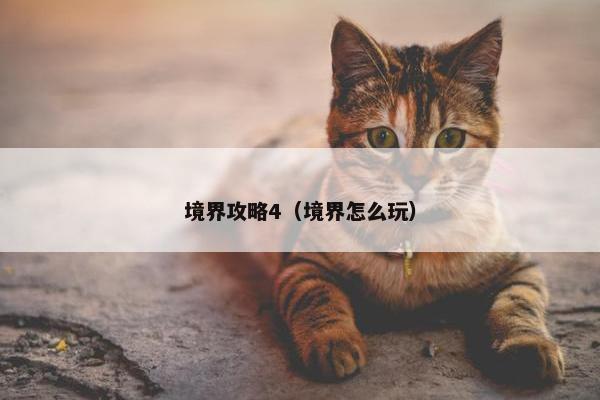 境界攻略4（境界怎么玩）