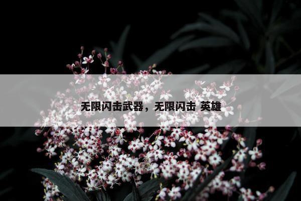 无限闪击武器，无限闪击 英雄