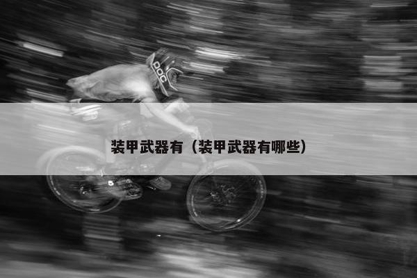 装甲武器有（装甲武器有哪些）