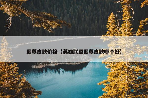 掘墓皮肤价格（英雄联盟掘墓皮肤哪个好）