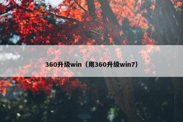 360升级win（用360升级win7）